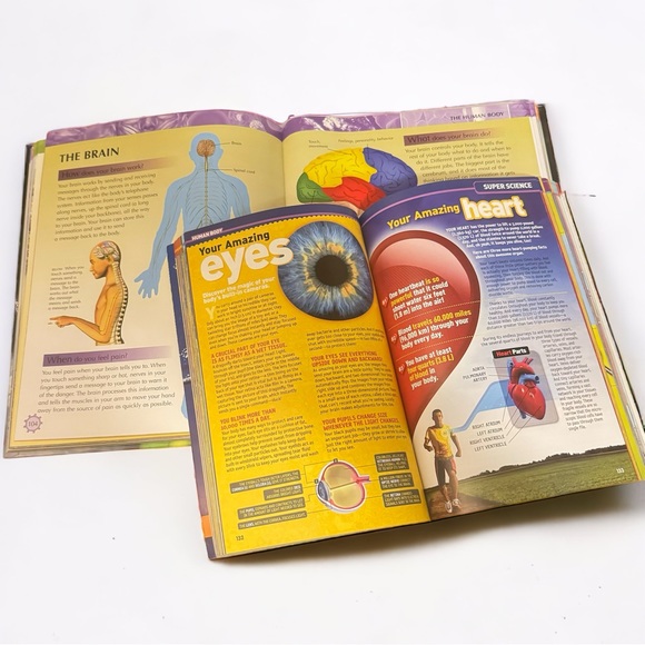 Coffee Table Bundle Of Learning Books - Picture 3 of 8